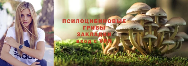стафф Верея