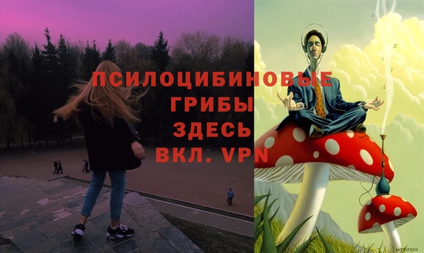 прущие крисы Володарск