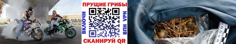 Галлюциногенные грибы мицелий  Купить  Жигулёвск 