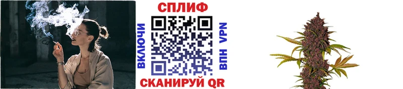 Бошки Шишки семена Купить закладки Жигулёвск